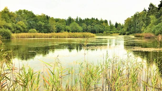 Pro Natura reicht Beschwerde gegen Fischbach-Göslikon ein
