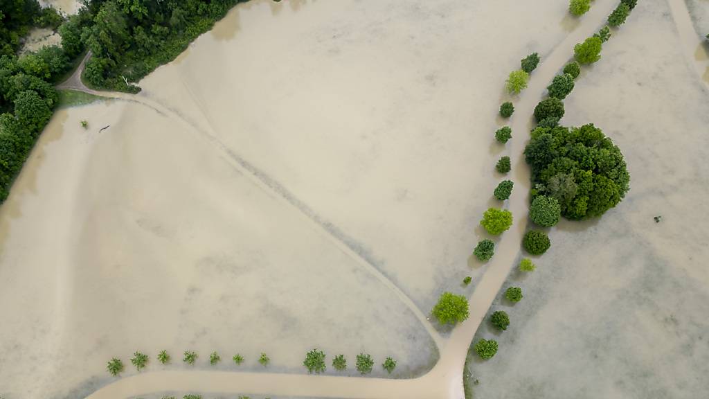 Die Thur überflutete am Samstag die Allmend in Frauenfeld. (Archivbild)