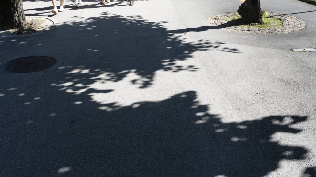 Forschende berechnen den Schatten jedes Baumes in der Schweiz