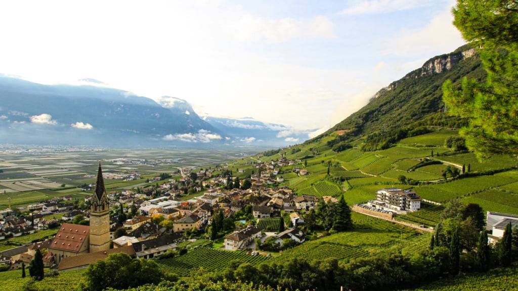 ARCHIV - Ein Weingut mit Blick ins Etschtal. Foto: Bernhard Krieger/dpa-tmn/dpa/Archivbild