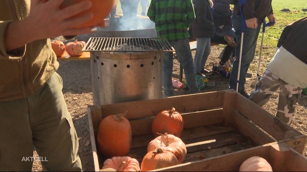 Kürbisfest in Wildegg mit einem Kürbis-Weitwurf