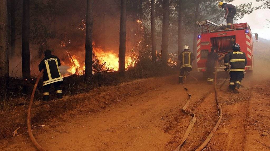 Feuerwehrleute bekämpfen die Waldbrände in der Nähe des zentralchilenischen Cauquenes.