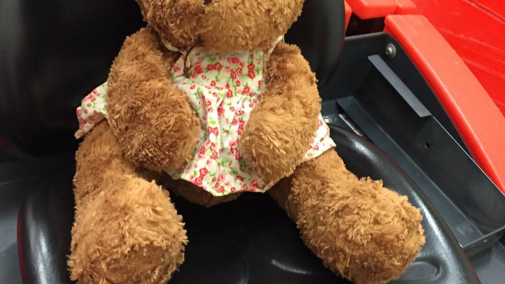 Der Besitzer oder die Besitzerin dieses Teddys wird gesucht.