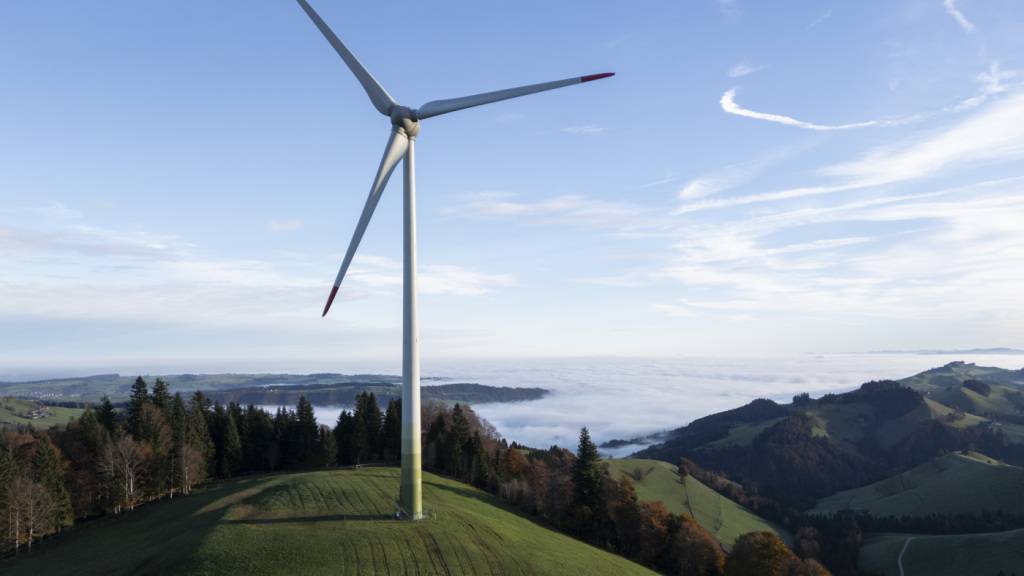 Umweltallianz lehnt Initiativen zur Einschränkung der Windkraft ab