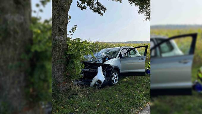 Auto prallt frontal in Baum – 80-jähriger Fahrer tot