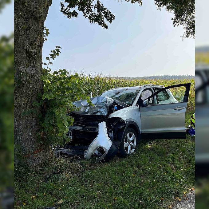 Auto prallt frontal in Baum – 80-jähriger Fahrer tot