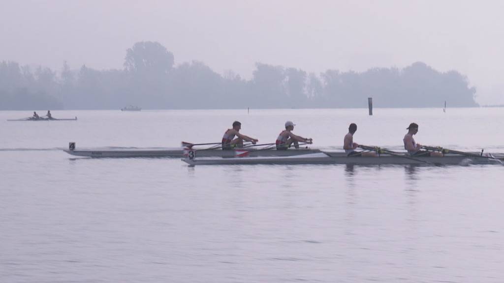 Nachwuchs trifft Spitzenruderer an der Ruderregatta in Cham 