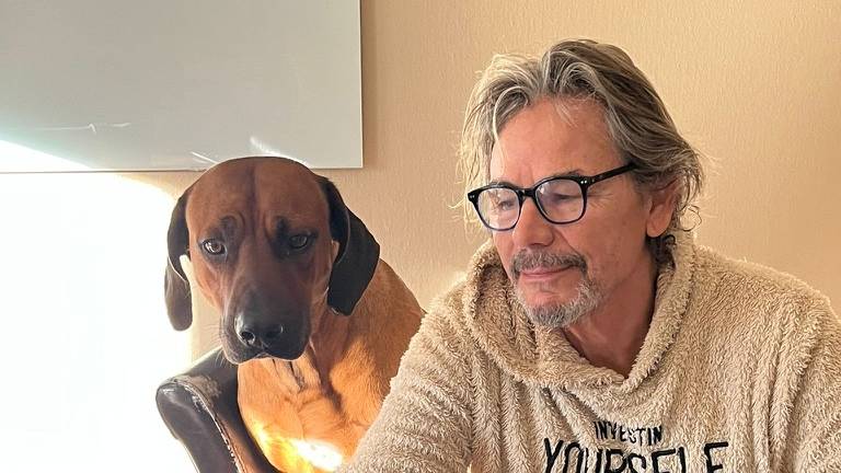 Hund jagte in Herrliberg Katze nach – Herrchen wird vorgeladen