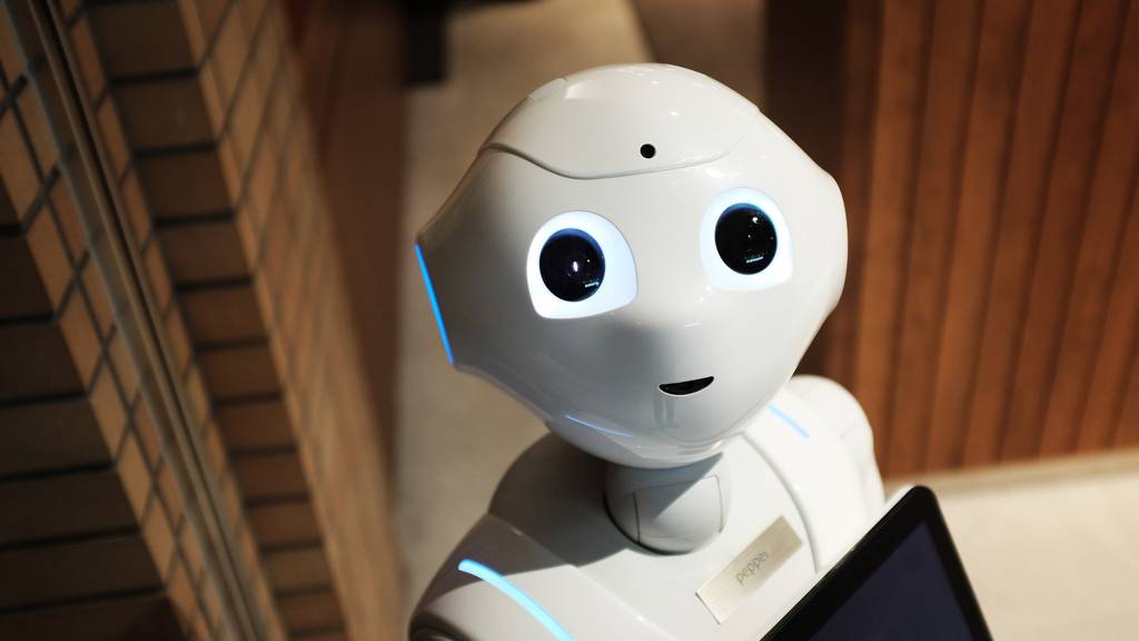 Sind Roboter die Zukunft?