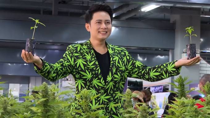 Thailand legalisiert Cannabis und verschenkt eine Million Hanfpflanzen