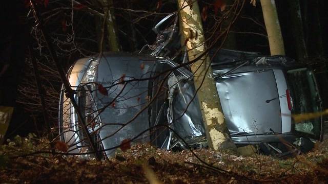 Auto zerknautscht an Baum