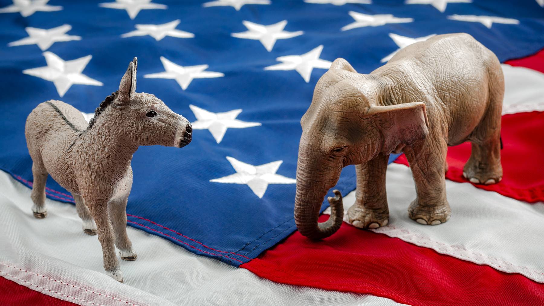 Democrats vs republicans are facing off in a ideological duel on the american flag. In American politics US parties are represented by either the democrat donkey or republican elephant