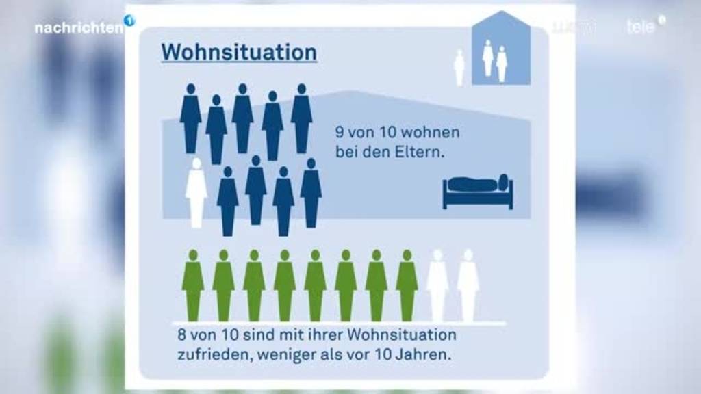 Sozialbericht Kanton Luzern 2021