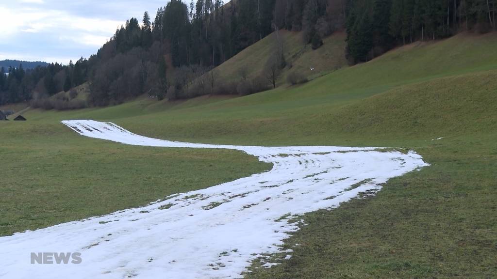 Langlauf-Loipen leiden unter den milden Temperaturen