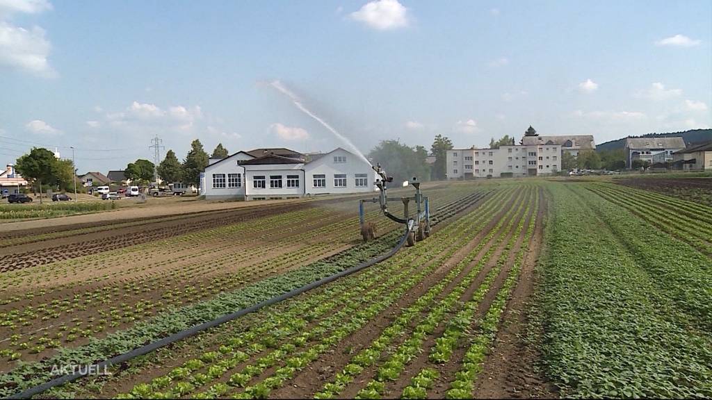 Bauern wollen Grundwasser anzapfen