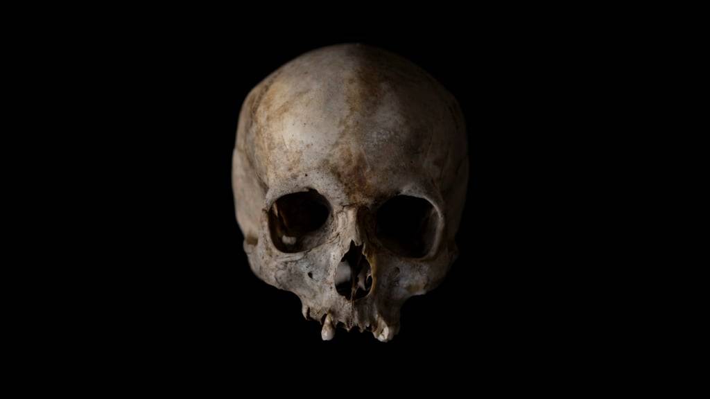 Obwohl die Schweiz selbst nie Kolonien besass, befinden sich in Schweizer Museen und Sammlungen tausende menschlicher Überreste aus allen Teilen der Welt, darunter viele Schädel. (Archivbild)