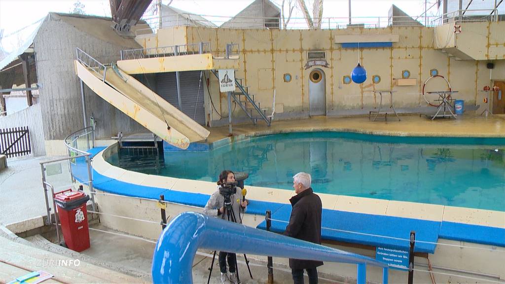 Kinderzoo: Künftig Hunde- statt Seelöwen-Show