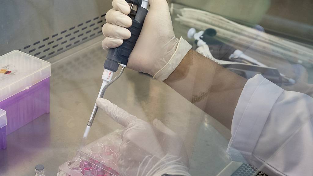 ARCHIV - Weltweit wird an einem Covid-19-Impfstoff geforscht. Foto: Sakchai Lalit/AP/dpa
