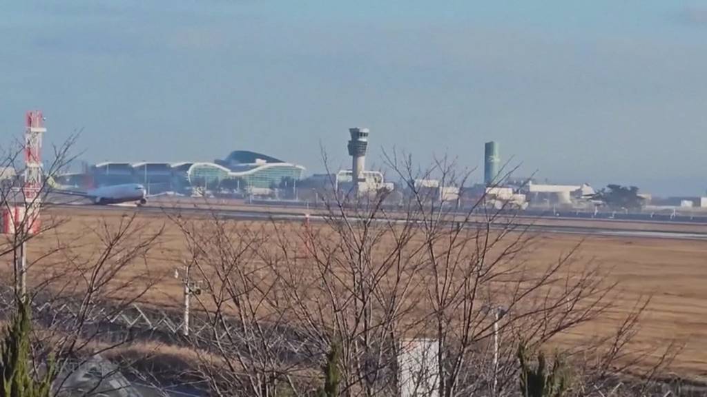 Flugzeugunglück in Südkorea: 179 Todesopfer, zwei Überlebende