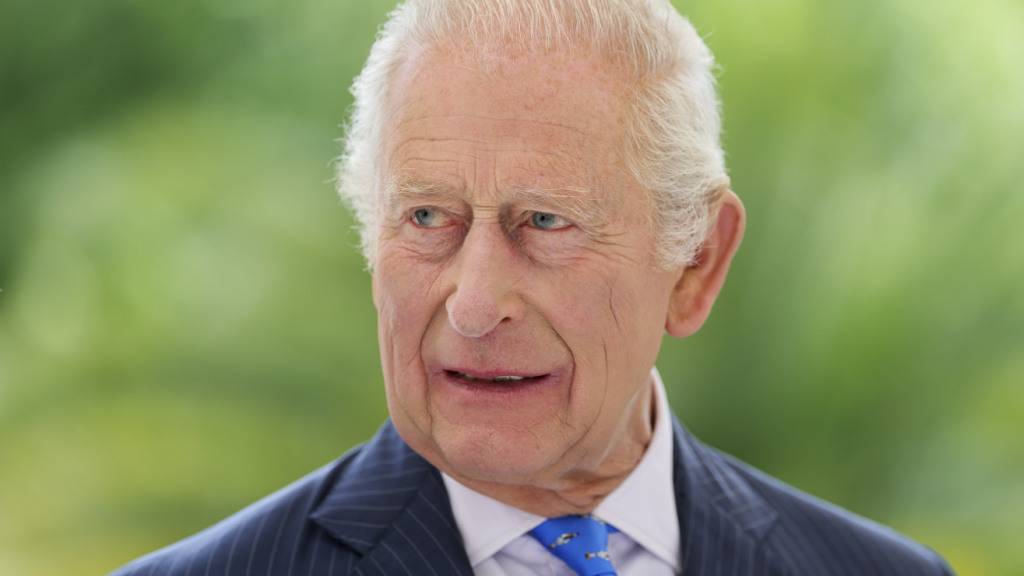 Noch nie sei es wichtiger gewesen, sich für Umwelt- und Klimaschutz einzusetzen, ist sich König Charles sicher. Eine neue Doku soll nun hinter die Kulissen seines eigenen Engagements blicken. (Archivbild)