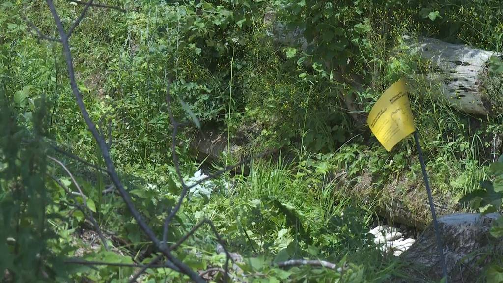 Mutmassliches Tötungsdelikt in Escholzmatt: Frau (37) tot in Bach aufgefunden