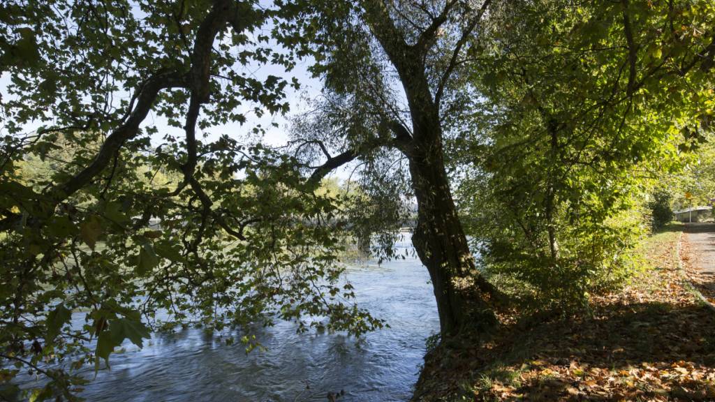 In der Aare in Aarau ist am Montagnachmittag ein 22-Jähriger verstorben. (Archivbild)