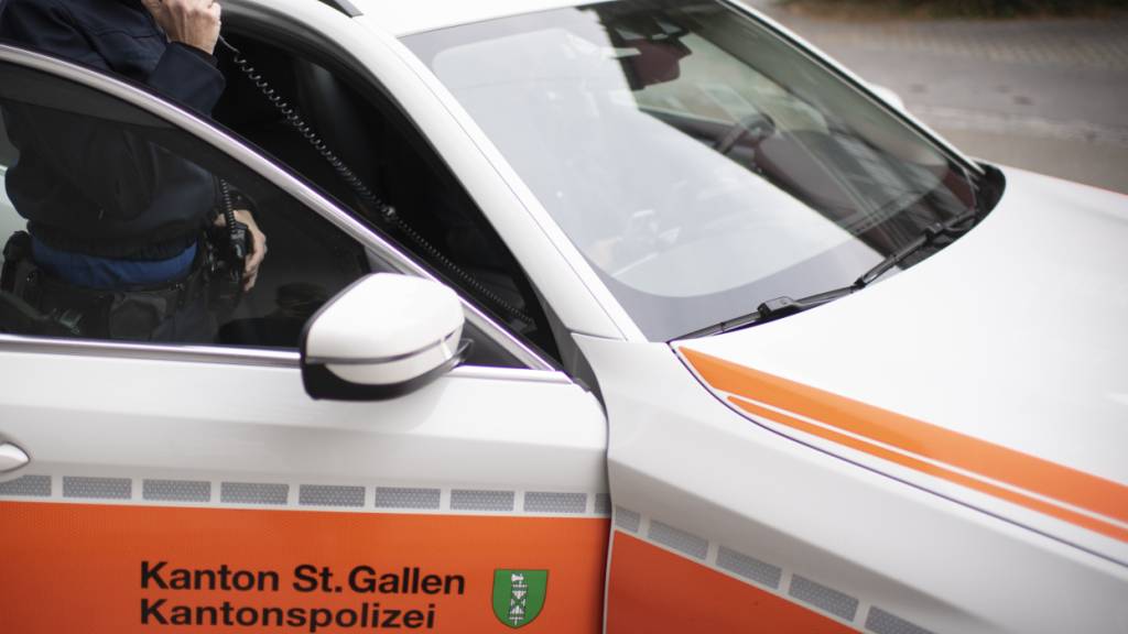 Polizei stoppt Autodiebe in gestohlenem Lieferwagen