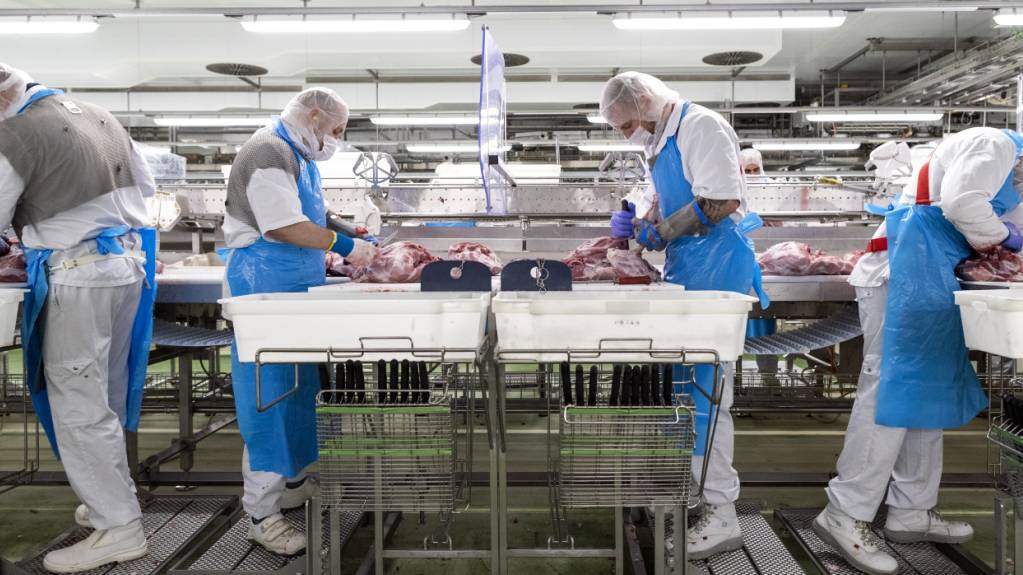 Das Oberamt des Broyebezirks hat grünes Licht erteilt für den geplanten Agrico-Campus und den Micarna-Geflügelschlachthof in St-Aubin. (Symbolbild)