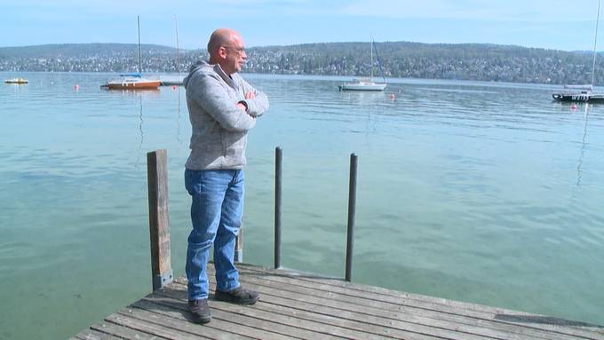 Dank Phänomen: Künftig wieder mehr Fische im Zürichsee