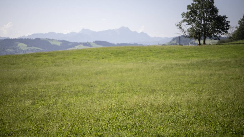 Im Kanton St. Gallen wurden Rückstände von PFAS beispielsweise in Eggersriet entdeckt. Betroffen könnte auch das nahe Ausserrhoder Vorder- und Mittelland sein. (Archivbild)