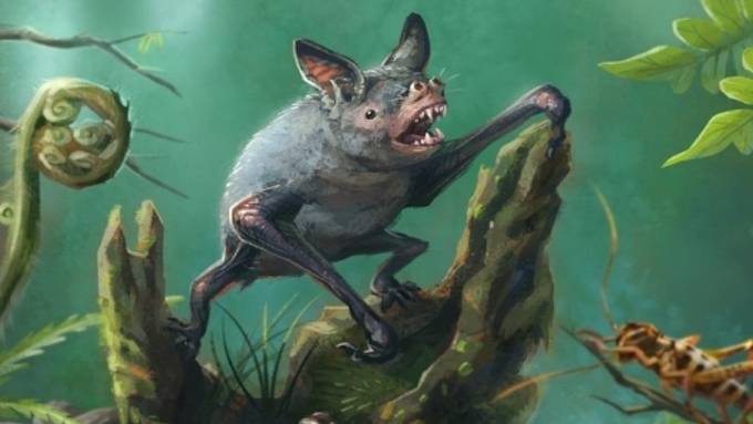 Fossil einer Riesenfledermaus in Neuseeland