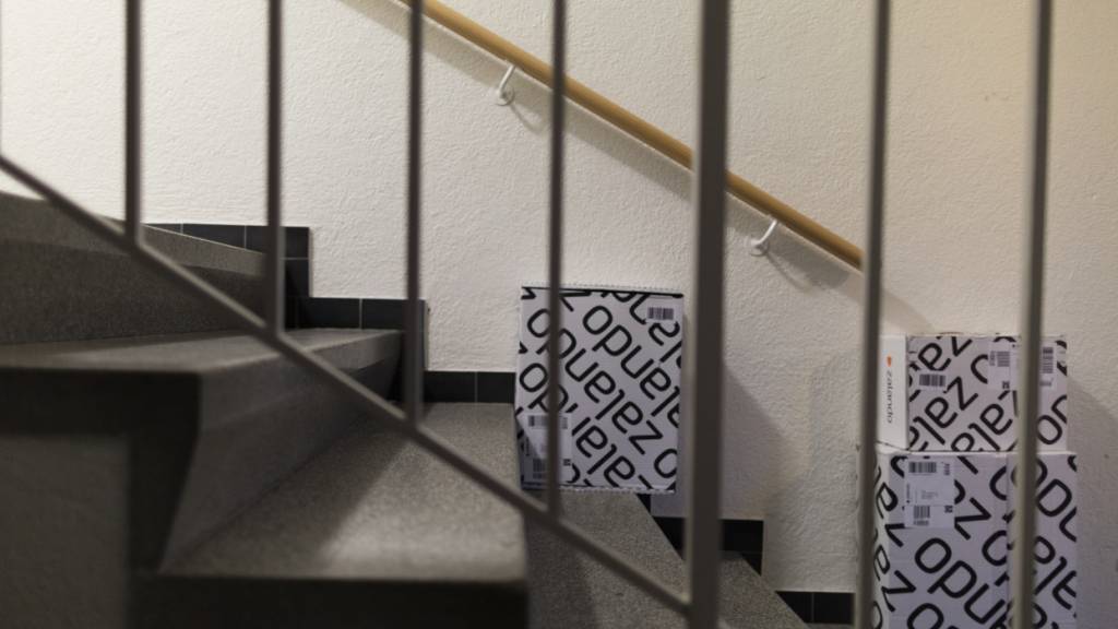 Immer mehr Online-Händler liefern Bestellungen bereits am nächsten Tag. (Symbolbild)