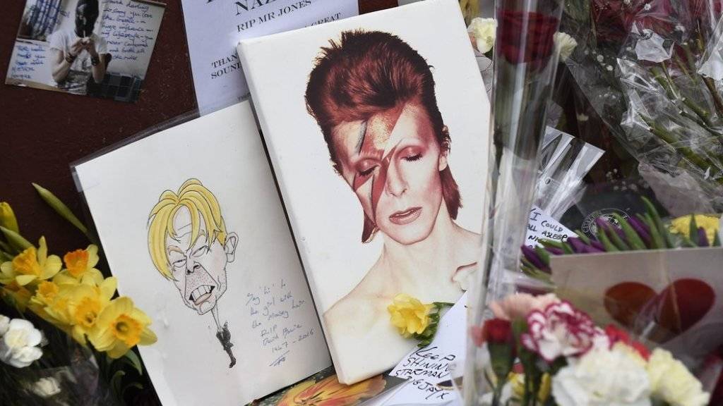 Grosse Trauer: In Erinnerung an den verstorbenen Musiker hat ein neugeborener Zwergpinguin im Tierpark von Cincinnati den Namen «Bowie» bekommen (Archiv).