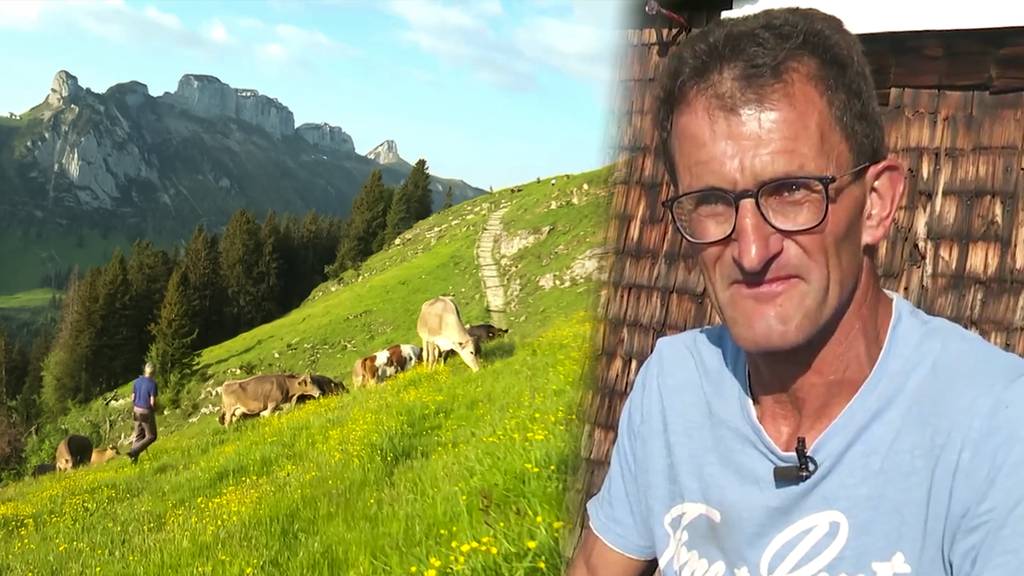 «Die Tiere von A nach B bringen»: Auf dem Weg zur Alp Sigel