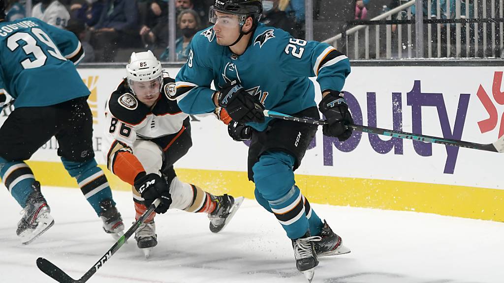 Timo Meier befindet sich seit Beginn der NHL-Saison in ausgezeichneter Verfassung