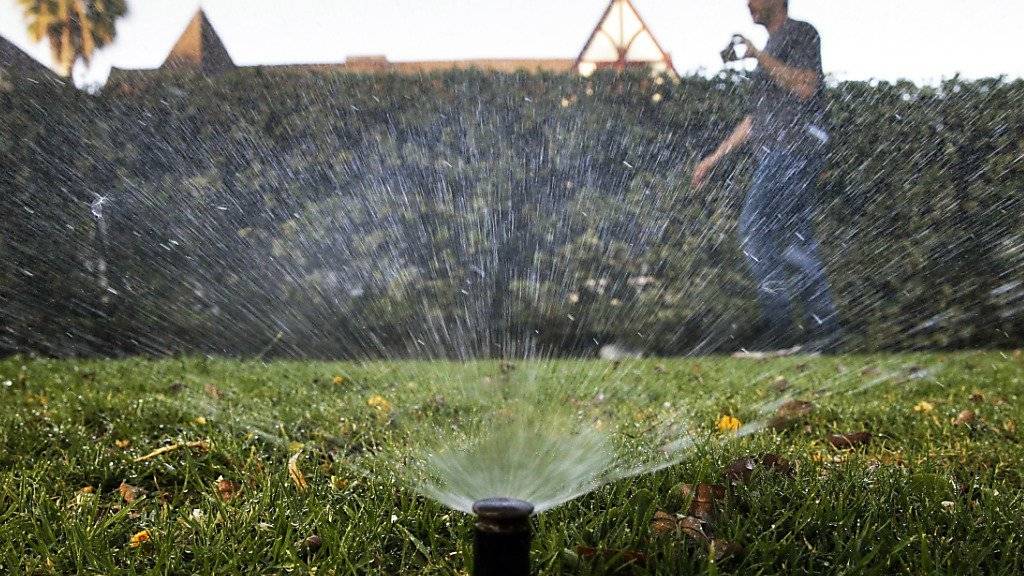 Sprinkleranlage vor einem Haus im kalifornischen Nobelort Beverly Hills: Die US-Kommune spart zu wenig Wasser. (Symbolbild)