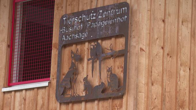 Neues Altersheim: Im Toggenburg eröffnet Papageienhof