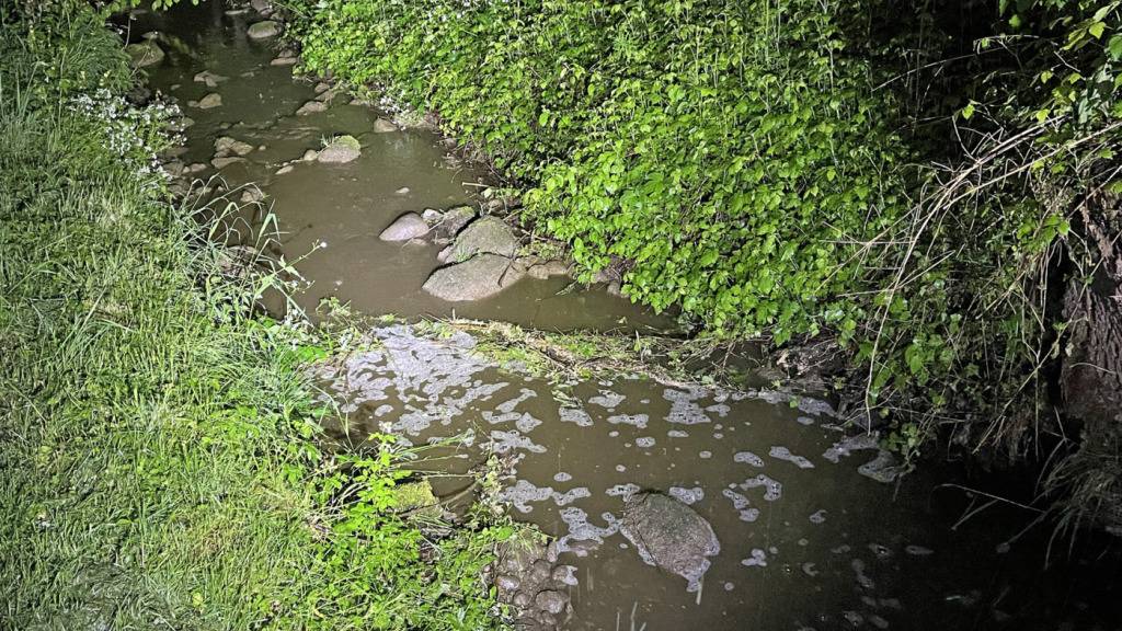 In Müswangen floss im Mai 2025 Gülle aus einer erdverlegten Leitung über eine Wiese in den Mülibach. (Archivbild)