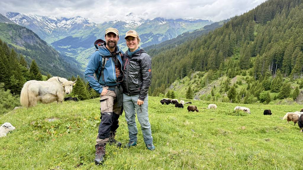 Der lange Weg auf die Yak Alp 