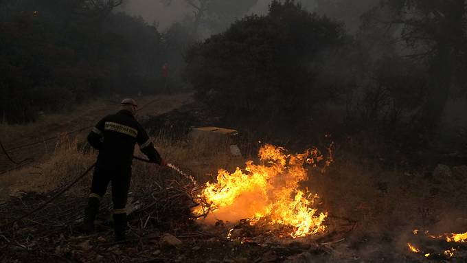 Brand im Westen von Athen tobt weiter - Ortschaft gerettet