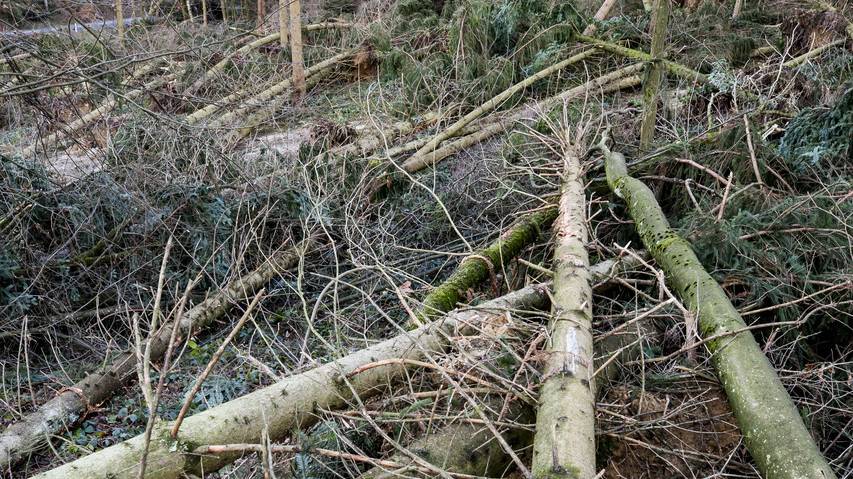 Sturmtief Zusammenfassung