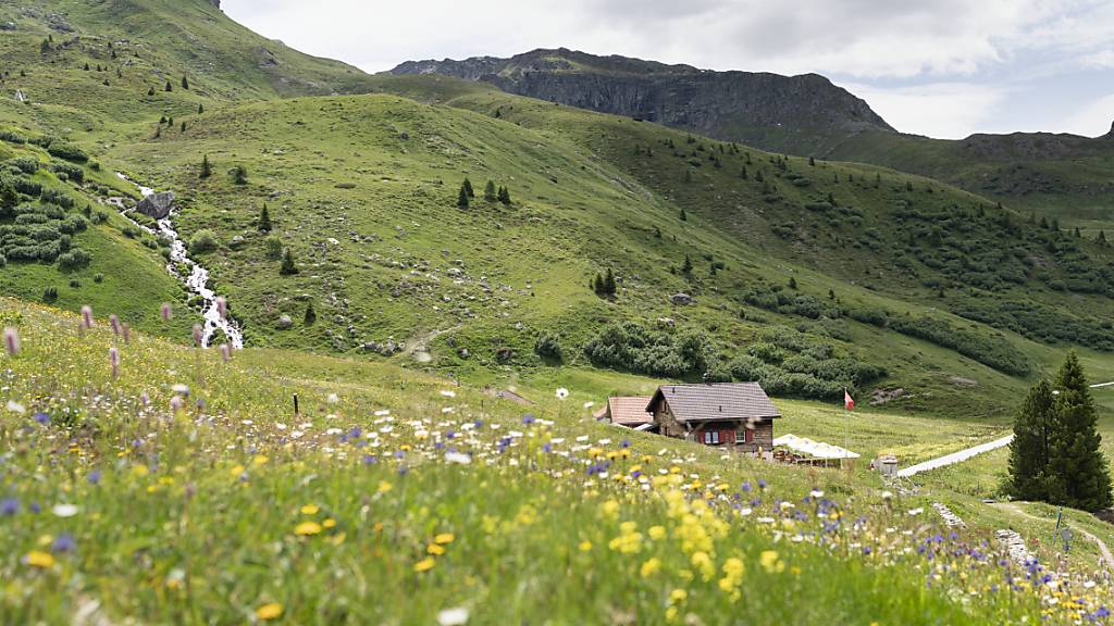 Der Nationalrat will die Artenvielfalt mit gesetzlichen Vorgaben schützen. Er besteht auf einem indirekten Gegenvorschlag zur Biodiversitätsinitiative. (Archivbild)