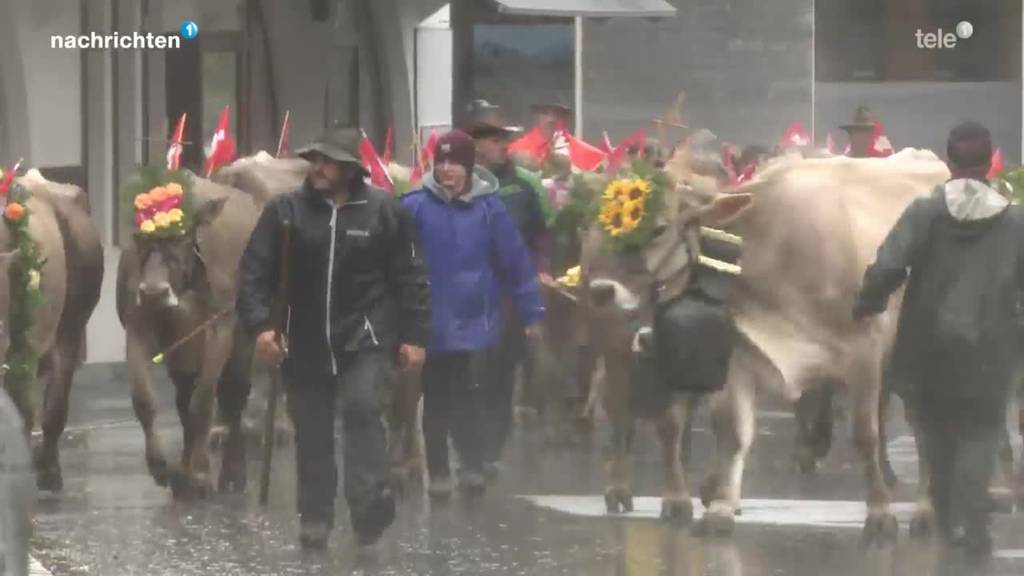 Engelberger trotzen dem Unwetter mit Alpabzug und Markt