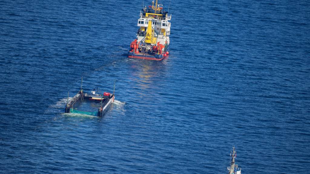 Der Buckelwal wird in seiner Barge vom Schlepper Fortuna B entlang der dänischen Küste in Höhe Aarhus in Richtung Nordsee durch die Ostsee gezogen, die Robin Hood begleitet den Konvoi weiterhin. Foto: Christoph Reichwein/dpa