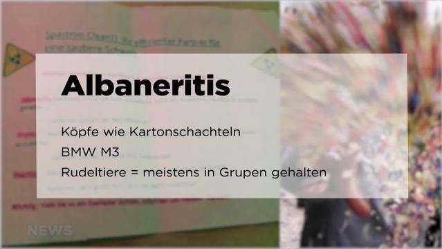 Rassistische Flyer