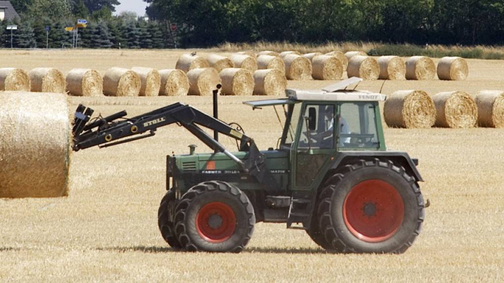 Kriegsfolgen abfedern: Bauern in der EU sollen Produktion steigern