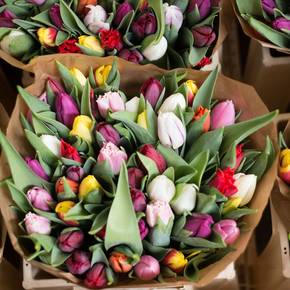 Was macht Stadtpräsidentin Corine Mauch bloss mit all diesen Blumen