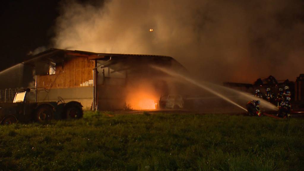 Zwei Kälber sterben bei Stallbrand in Trachslau (SZ)