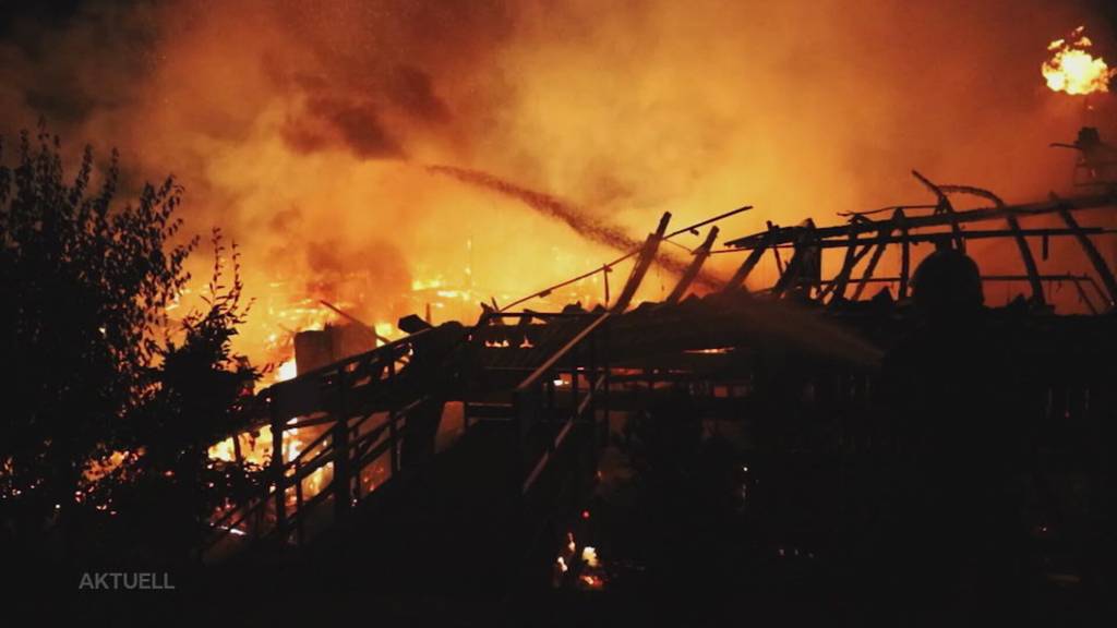 Riesige Flammen: In Urswil im Seetal brennt eine Sägerei lichterloh