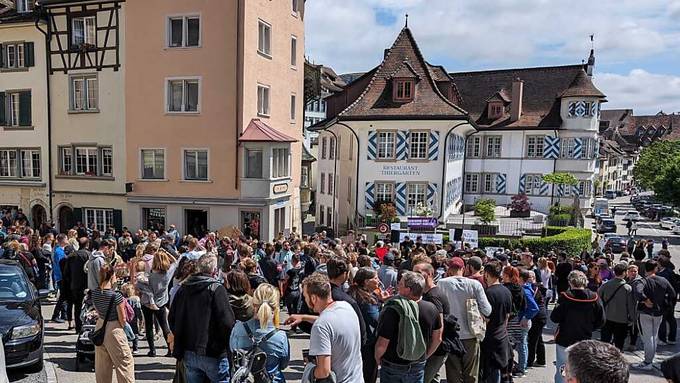 Hunderte demonstrieren in Schaffhausen gegen Polizei